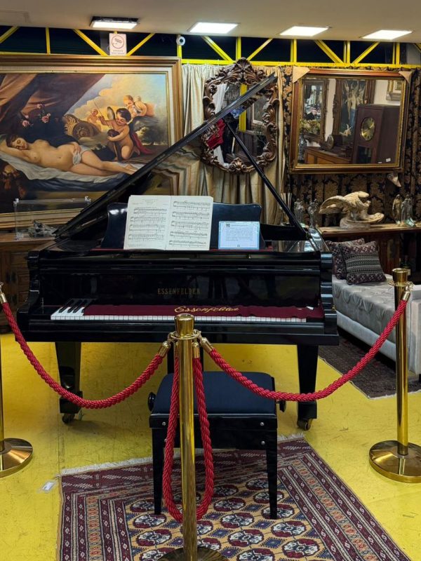 WhatsApp Image 2026-04-22 at 19.38.00